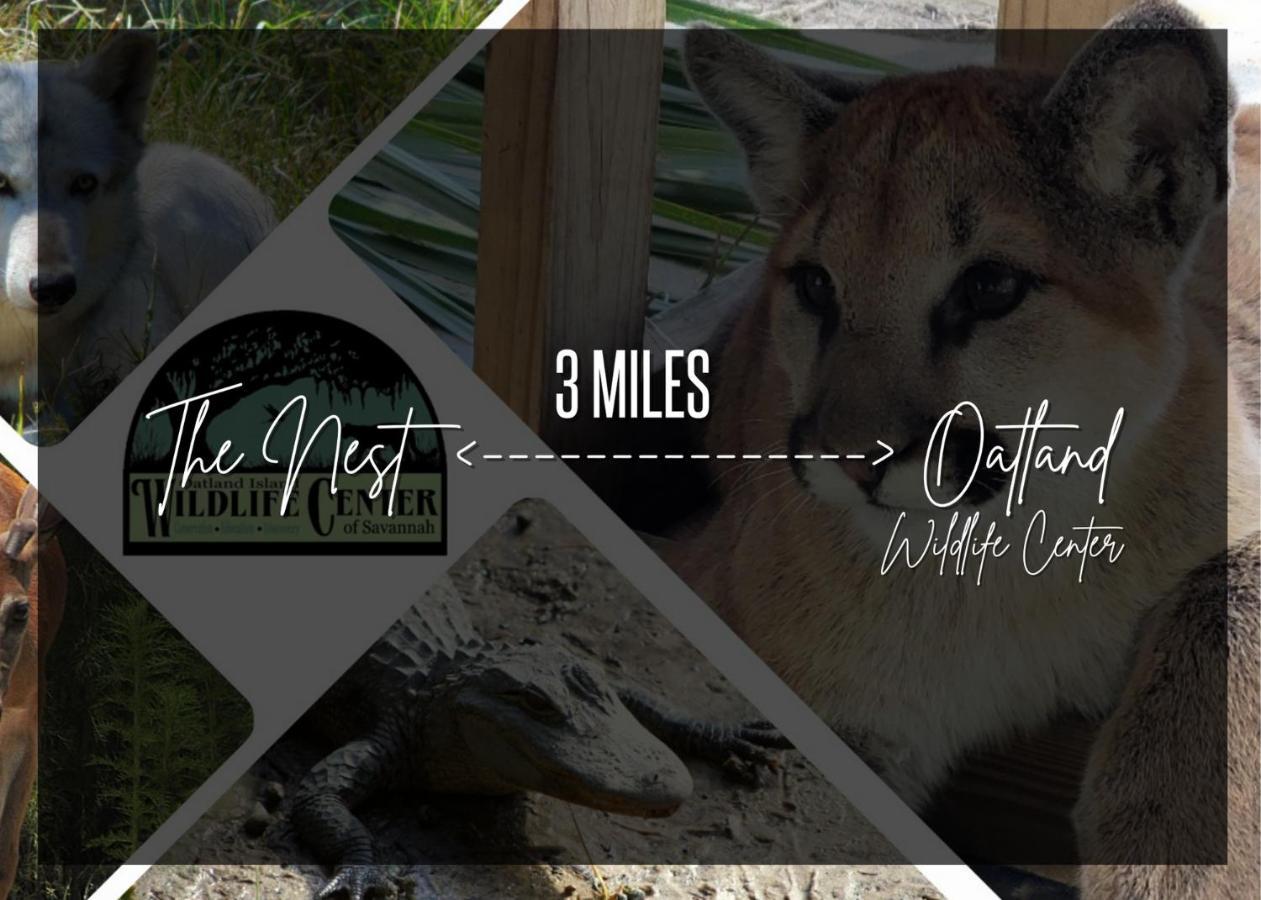 Cozy Oasis 15Min To Dt & Tybee, Home Away From Home - The Nest 서배너 외부 사진